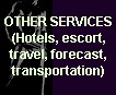 Other services (hotels, escort, travel agencies, etc.)
